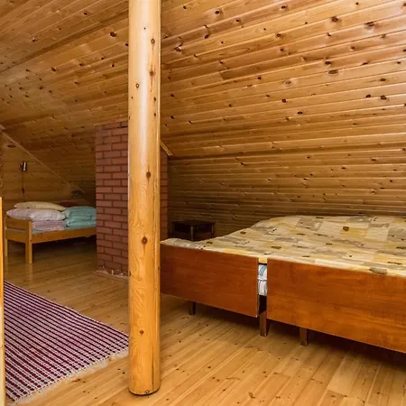 Niitsinniemi By Interhome Laamala